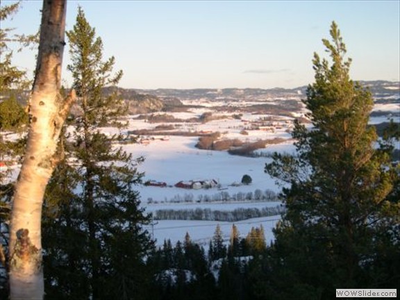 stier_nordistuberga_januar_2010_016